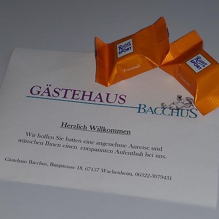 Gaestehaus Bacchus Wachenheim an der Weinstraße Buitenkant foto