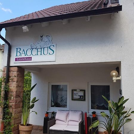 Gaestehaus Bacchus Wachenheim an der Weinstraße Buitenkant foto