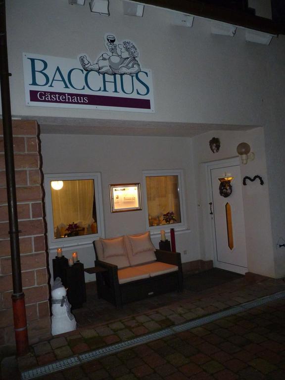 Gaestehaus Bacchus Wachenheim an der Weinstraße Buitenkant foto