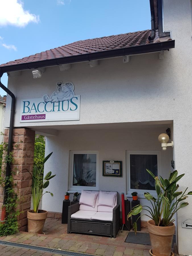 Gaestehaus Bacchus Wachenheim an der Weinstraße Buitenkant foto